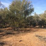 An amazing site in just a few hours - Peralta area on Arizona State Trust Land