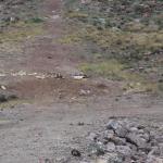 Shooter debris on dike