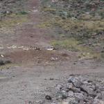 Shooter debris on dike